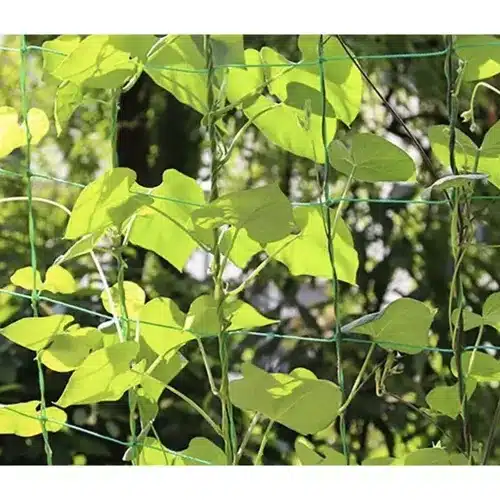 Növényháló futónövények támogatására – 2 x 20 m (WNDR23980) - Image 2