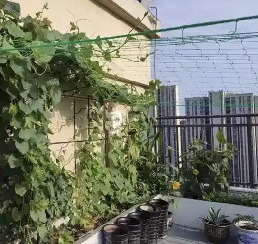 Növényháló futónövények támogatására – 2 x 20 m (WNDR23980) - Image 5