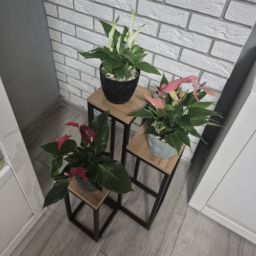 3 Szintes Loft Fém Virágtartó Állvány – Ipari Stílusú Növénytartó Nappaliba, Erkélyre vagy Kertbe (WNDR25626) - Image 4