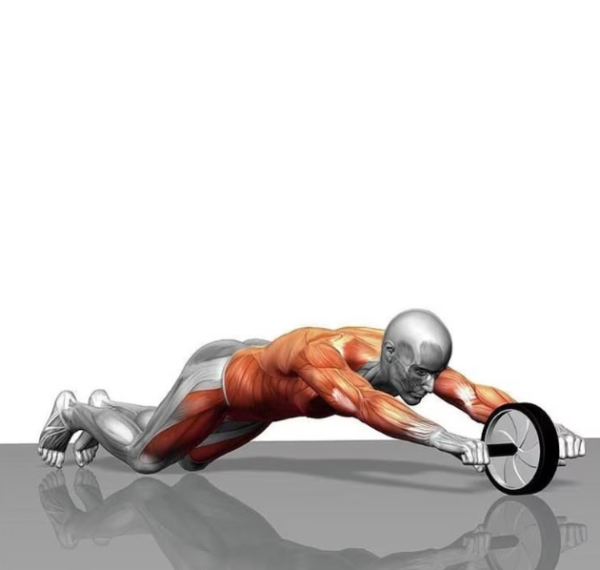 Dupla hasizom erősítő kerék – 15 cm, csúszásmentes fogantyú, térdvédővel (WNDR4567) - Image 2